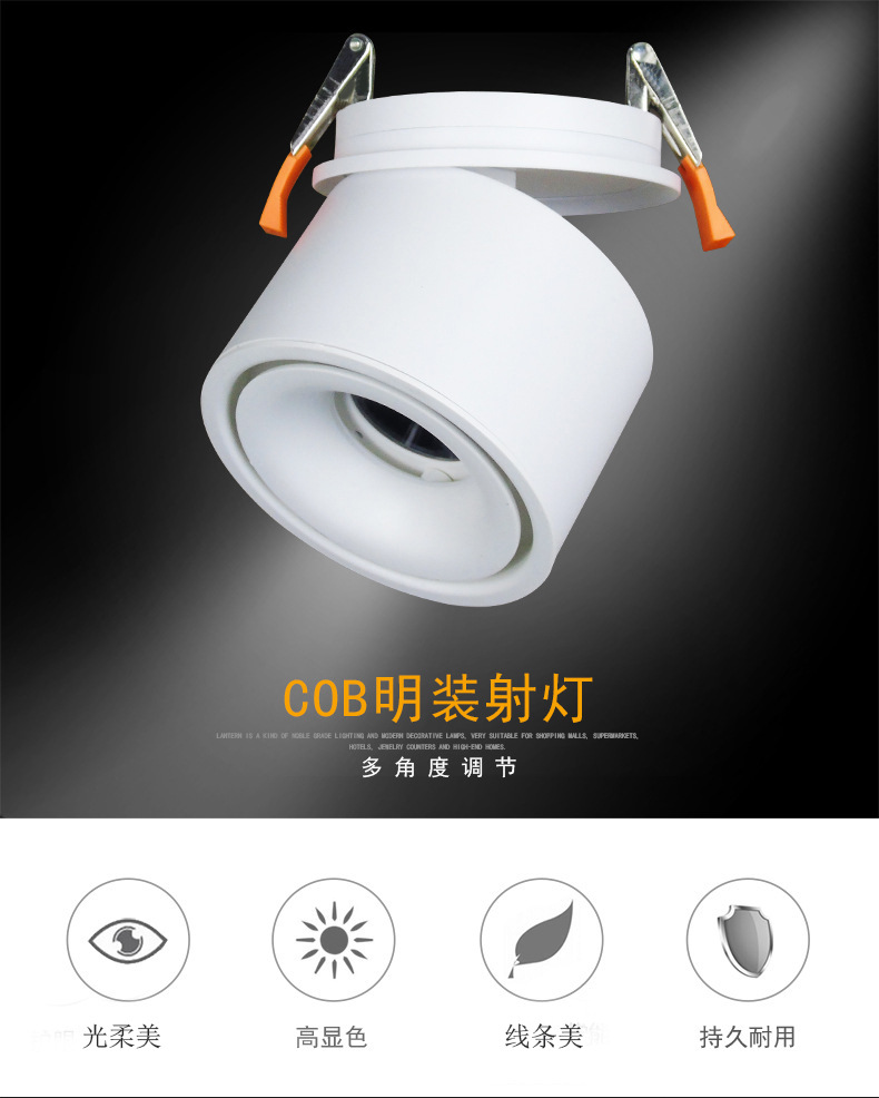 Odoo • 带有标题的图片